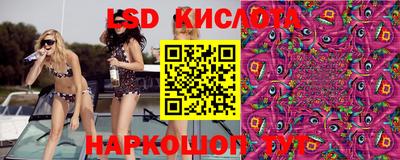 шишки Бузулук