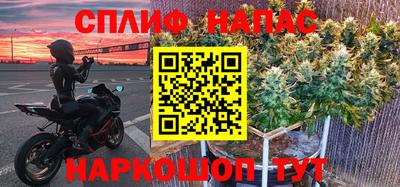 Альфа ПВП Будённовск