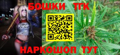 Альфа ПВП Будённовск