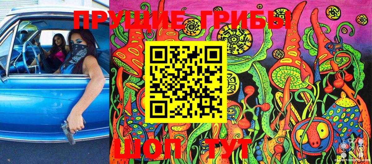 Псилоцибиновые грибы Cubensis Пятигорск