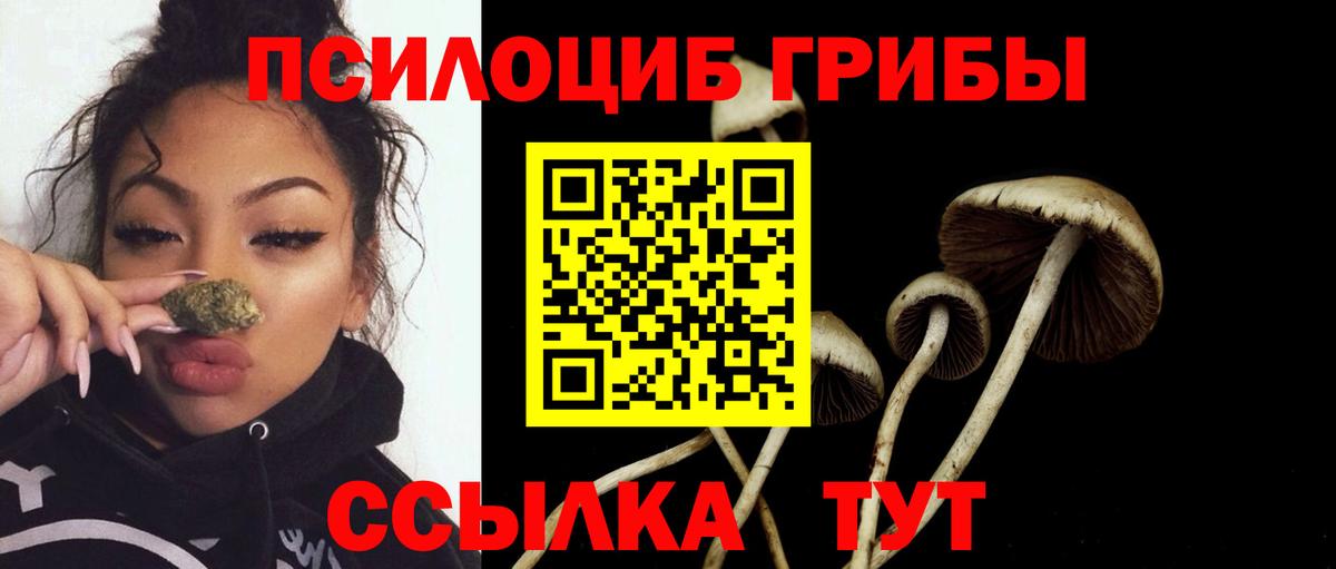 Пятигорск  Псилоцибиновые грибы Magic Shrooms  Вход с VPN  Псилоцибиновые грибы MAGIC MUSHROOMS 